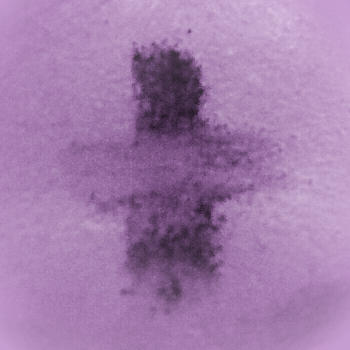 ash-cross-purple-2.jpg
